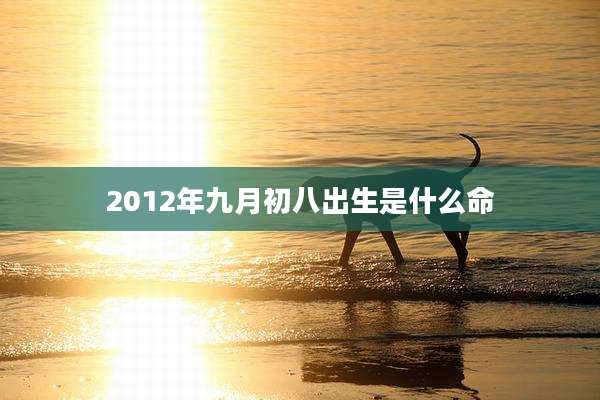 2012年九月初八出生是什么命