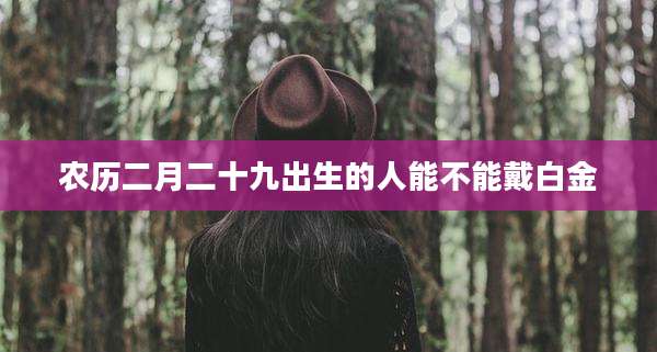 农历二月二十九出生的人能不能戴白金