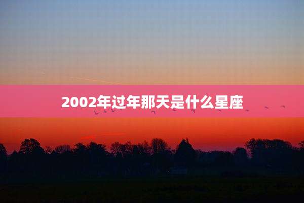 2002年过年那天是什么星座