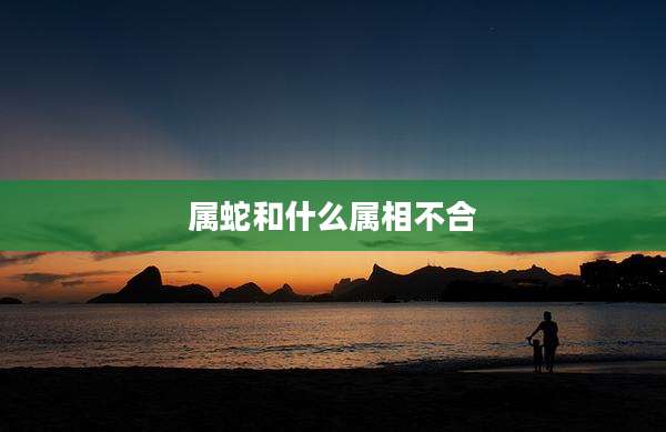 属蛇和什么属相不合
