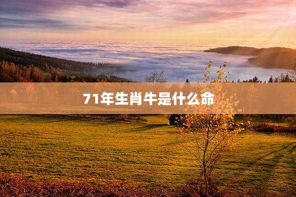 71年生肖牛是什么命