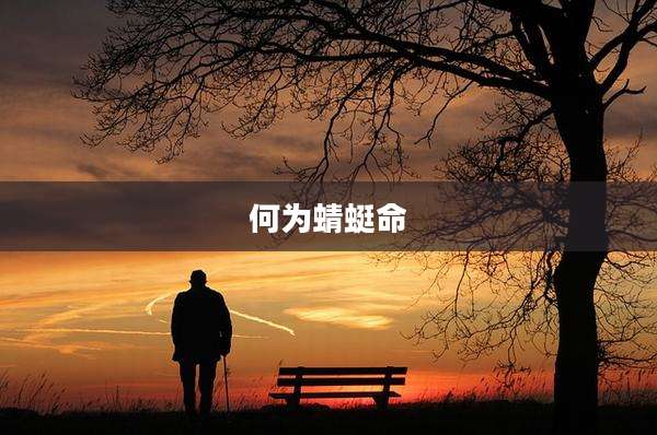 何为蜻蜓命