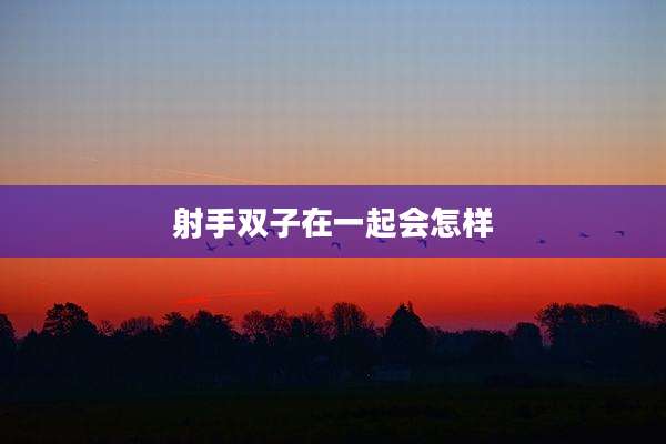 射手双子在一起会怎样