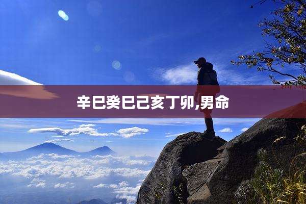 辛巳癸巳己亥丁卯,男命