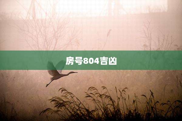 房号804吉凶