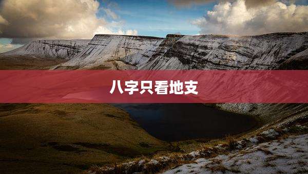 八字只看地支