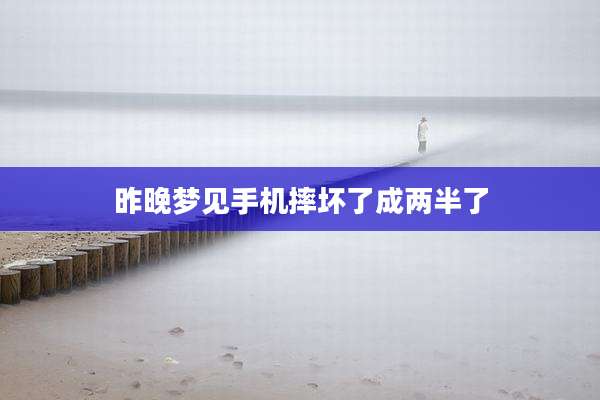 昨晚梦见手机摔坏了成两半了