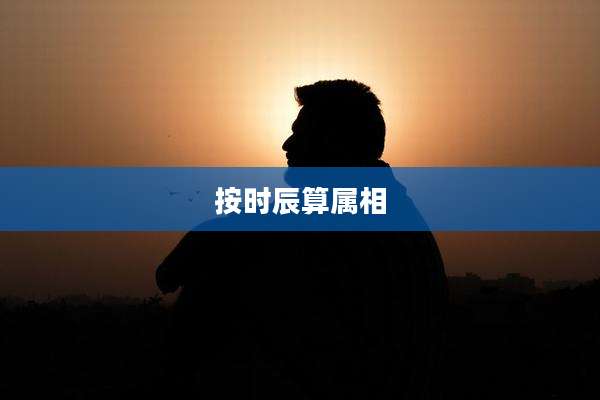 按时辰算属相