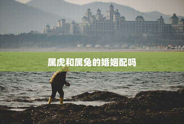 属虎和属兔的婚姻配吗