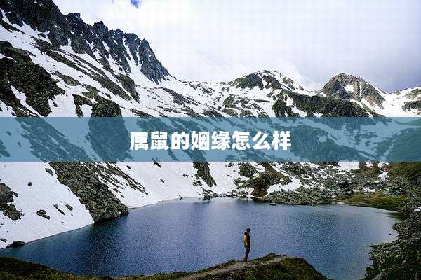 属鼠的姻缘怎么样