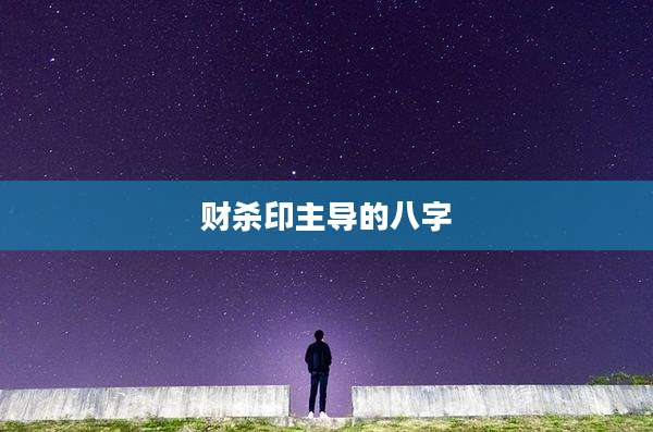 财杀印主导的八字