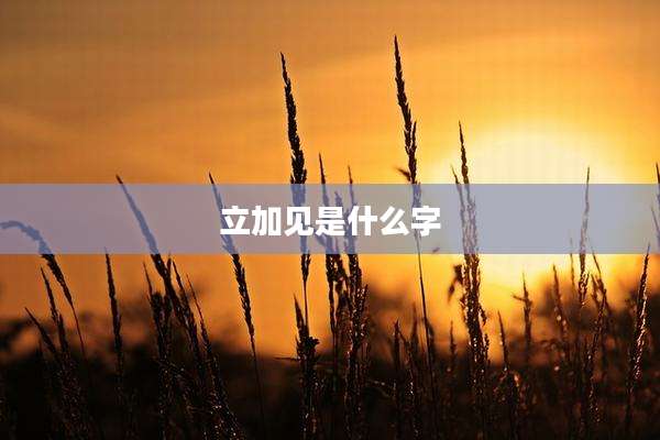 立加见是什么字