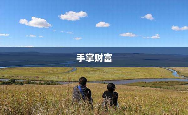 手掌财富