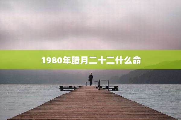 1980年腊月二十二什么命
