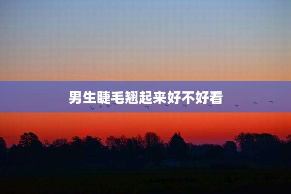 男生睫毛翘起来好不好看