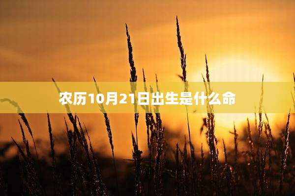 农历10月21日出生是什么命