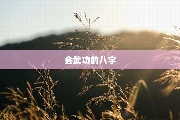 会武功的八字