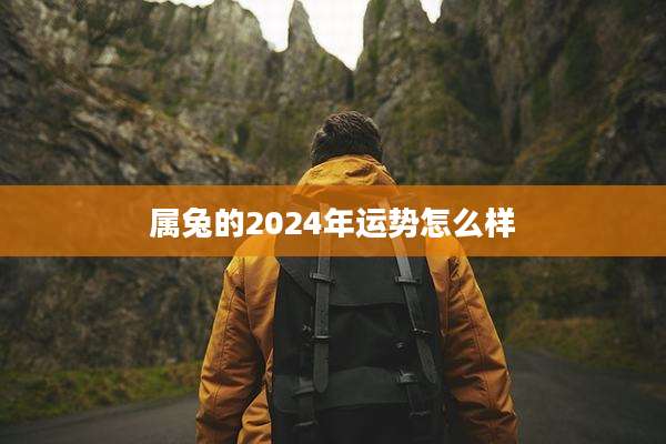 属兔的2024年运势怎么样