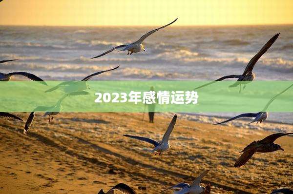 2023年感情运势