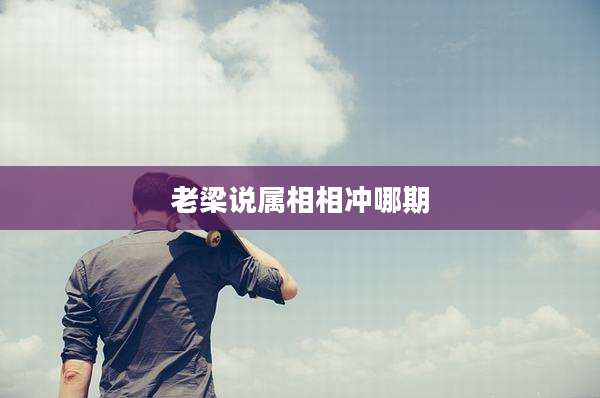老梁说属相相冲哪期