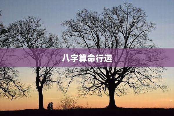 八字算命行运