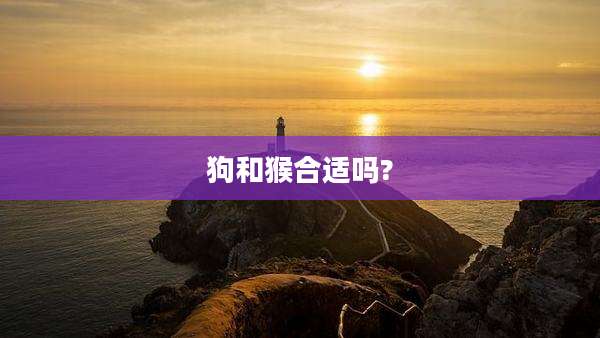 狗和猴合适吗?