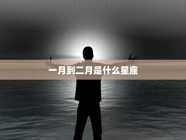 一月到二月是什么星座