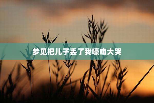 梦见把儿子丢了我嚎啕大哭