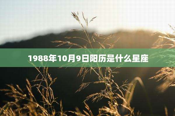 1988年10月9日阳历是什么星座