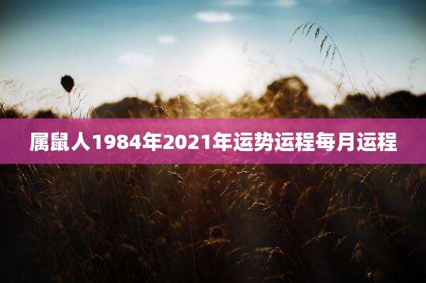 属鼠人1984年2021年运势运程每月运程