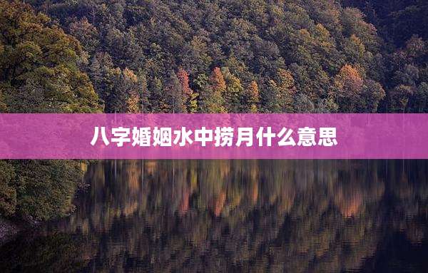 八字婚姻水中捞月什么意思