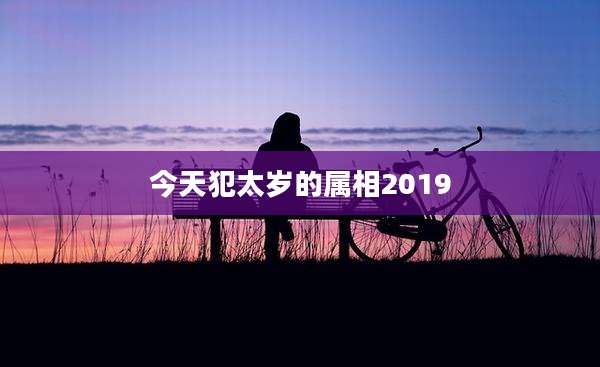 今天犯太岁的属相2019