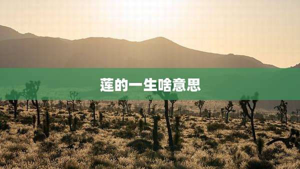 莲的一生啥意思