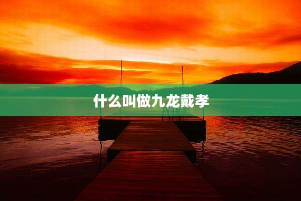 什么叫做九龙戴孝