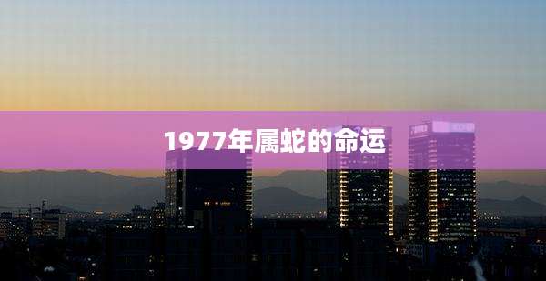 1977年属蛇的命运