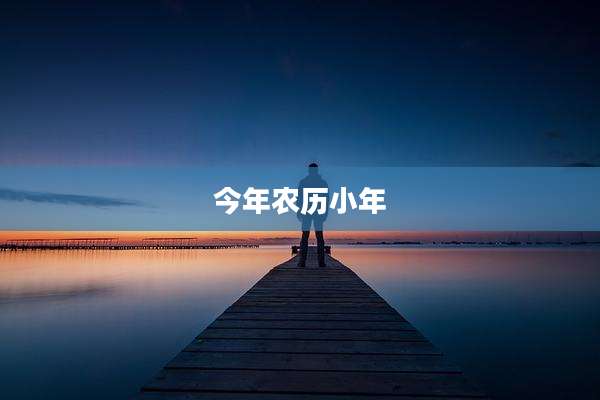 今年农历小年