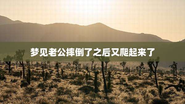 梦见老公摔倒了之后又爬起来了