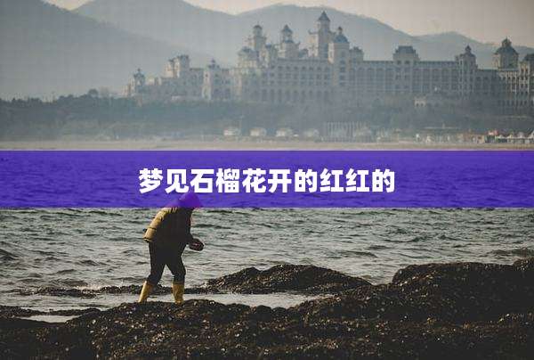 梦见石榴花开的红红的