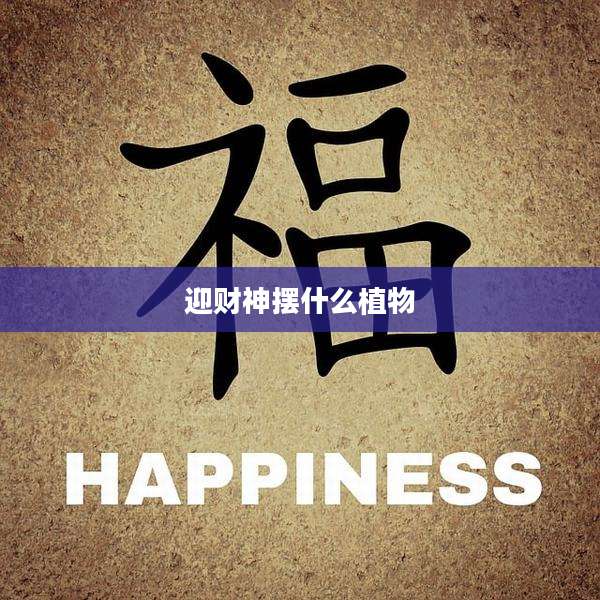 迎财神摆什么植物
