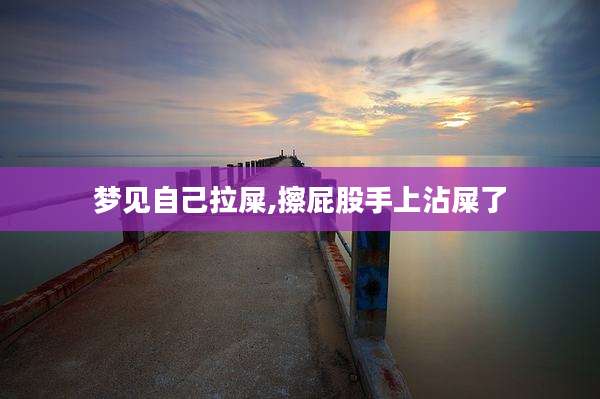 梦见自己拉屎,擦屁股手上沾屎了