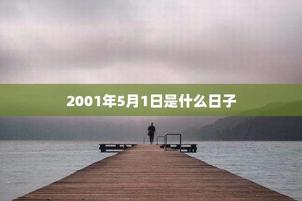 2001年5月1日是什么日子