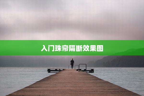 入门珠帘隔断效果图