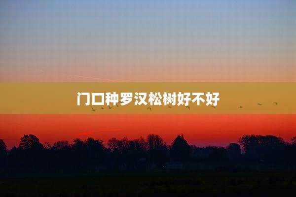 门口种罗汉松树好不好