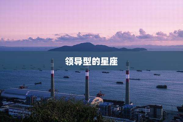 领导型的星座