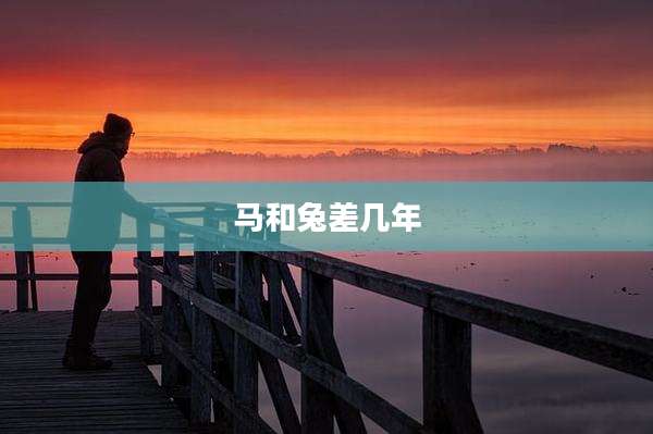 马和兔差几年