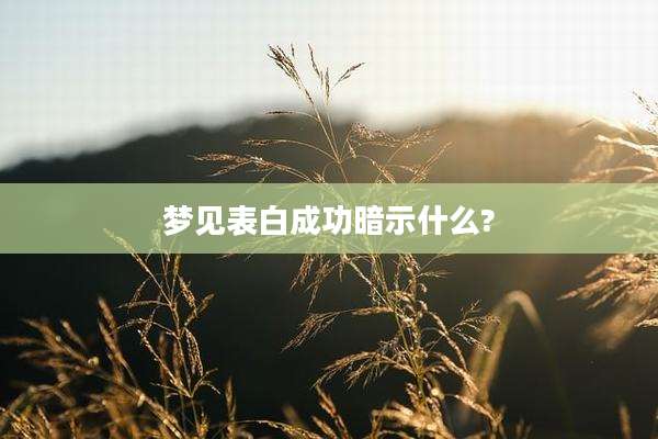 梦见表白成功暗示什么?
