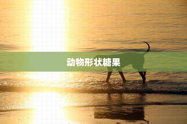 动物形状糖果