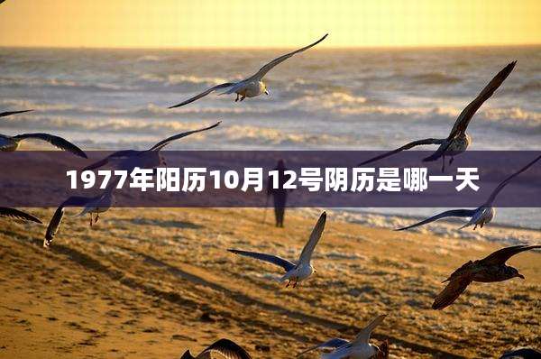 1977年阳历10月12号阴历是哪一天