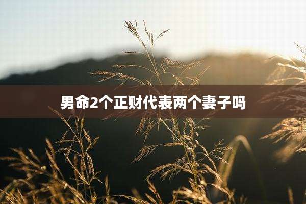 男命2个正财代表两个妻子吗