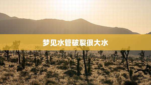 梦见水管破裂很大水